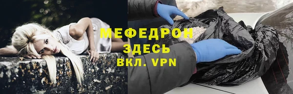 сатива Дедовск