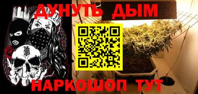 скорость Бийск