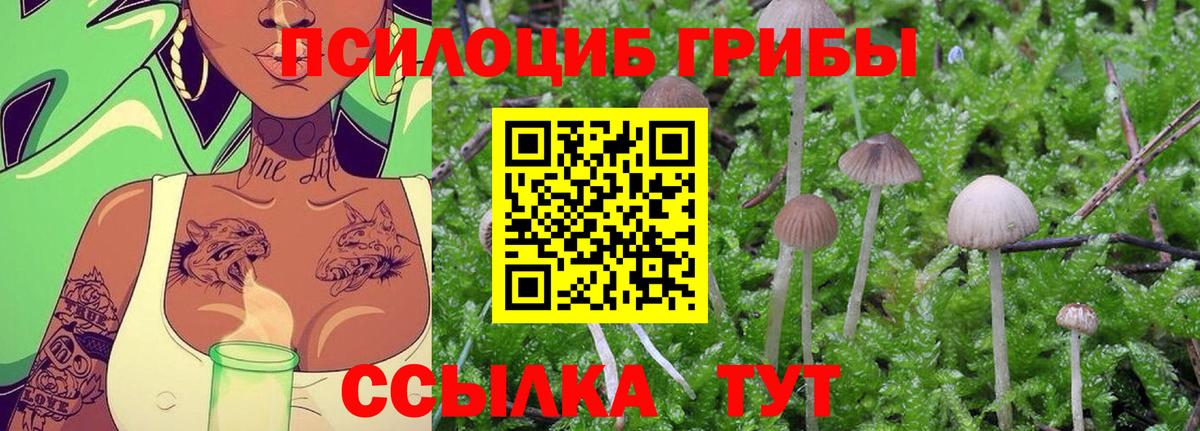 Галлюциногенные грибы MAGIC MUSHROOMS Губкин