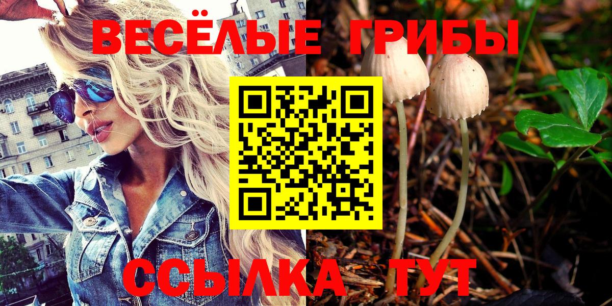 Губкин  Галлюциногенные грибы MAGIC MUSHROOMS  Вход с VPN 