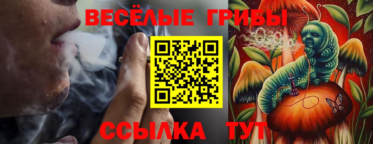  Cocaine Губкин